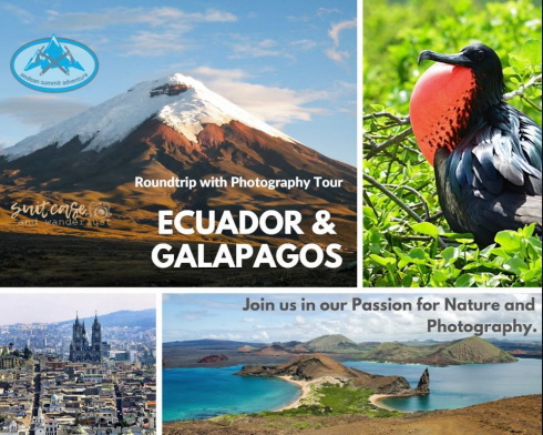 Ecuador and Galapagos Roundtrip with Photography Tour